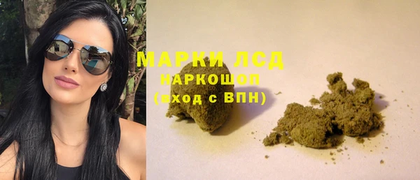 стафф Аркадак