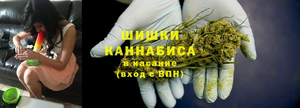 стафф Аркадак