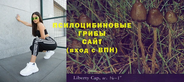 бошки Арсеньев