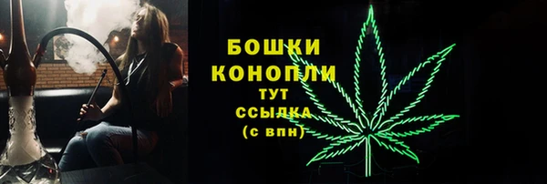 бошки Арсеньев