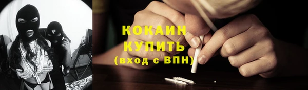 стафф Аркадак