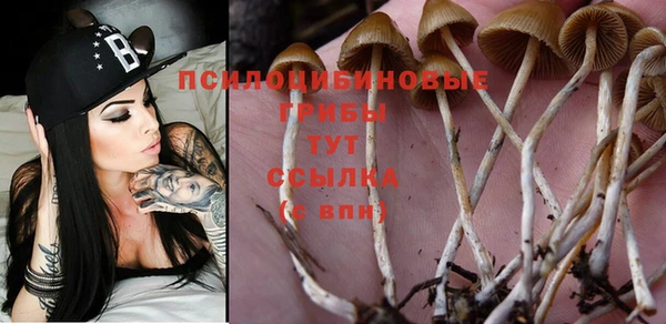 бошки Арсеньев
